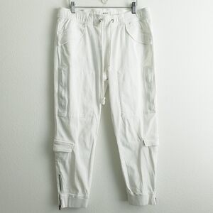 Hudson Jogger Cargo Elastic Waistband Pants